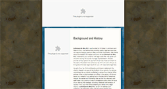 Desktop Screenshot of lohrmannandrim.com